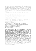 국어어문규정 - 외래어표기법과 로마자표기법에서 한국어 음운 및 음운 현상의 반영-10페이지