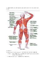 성인간호학 - 근골격계 구조와 기능-9페이지