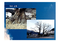 한국 민속신앙의 탐구-19페이지