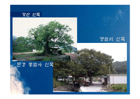 한국 민속신앙의 탐구-20페이지