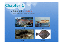 어류학 - 물고기의 체온  전기를 일으키는 물고기의 종류와 전압의 세기에 관해-7페이지