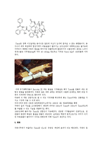 천연물 의약품 사례와 역사적 배경 - 천연물 중 하나인 Taxol에 관하여-4페이지