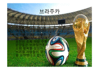 월드컵조사 - 브라질 월드컵에 대해서-9페이지
