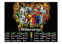 월드컵조사 - 브라질 월드컵에 대해서-16페이지