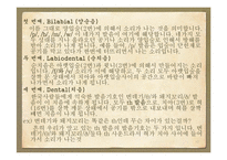 한국어와 영어의 자음체계 및 비교 설명-17페이지