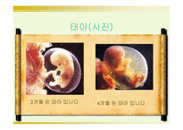 태아의 기관형성과 발달과정-9페이지