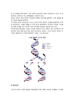 유전의 기제 - 유전인자  세포분열(유사분열과 감수분열)-2페이지