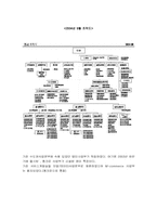 거시조직론  이동통신 3사의 전략과 조직비교-9페이지