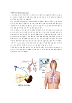 기관지경(bronchoscopy) 검사-2페이지