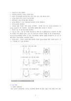 여성 간호  case study  제왕절개분만(cesarean section)-5페이지