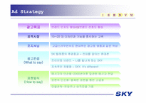 광고론  `sky`스카이 크리에이티브전략-6페이지