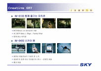 광고론  `sky`스카이 크리에이티브전략-11페이지