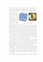 산업분석  MP3플레이어 산업시장과 기술표준전쟁-11페이지
