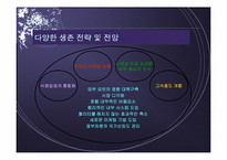 호텔경영  한국 호텔산업분석과 전망-16페이지