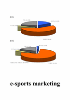 인터넷스포츠마케팅  e-sports 마케팅사례와 전망-10페이지