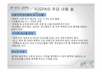 한국-인도 FTA 레포트-14페이지