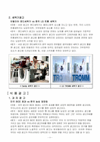 광고학  성적광고의 분석을 통한 동서양의 성문화 비교-11페이지