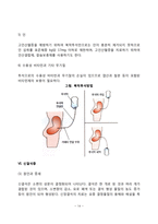 신장질환 식이요법  신장질환(신증후군  급성신부전 및 만성신부전  혈액투석  지속성 복막투석  신결석증)의 원인과 증상 및 치료를 위한 식사요법-14페이지