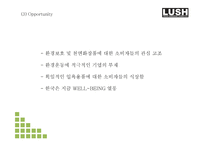 LUSH 러쉬 브랜드 성공요인과 마케팅 SWOT STP 4P전략과 LUSH 다양한 마케팅사례연구및 LUSH 미래전략제언 PPT ...