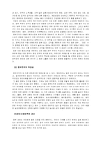 조직관리론 한국행정조직의 문제점과 개선방안-3페이지