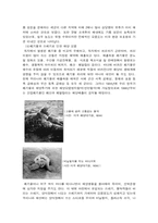 환경  해양오염과 런던협약-11페이지