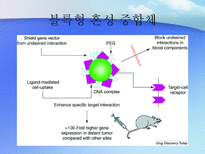 자연과학 비바이러스성 벡터를 이용한 유전자 치료-14페이지