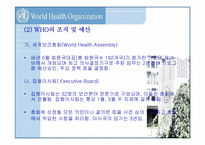 국제기구  WHO(세계보건기구)에 대해서-6페이지