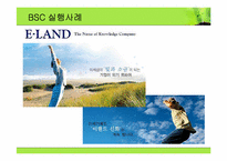 인적자원관리  BSC(Balanced Score card)균형 성과 기록표-14페이지