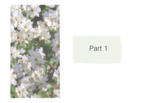 하얀색 꽃 자연테마 배경파워포인트 PowerPoint PPT 프레젠테이션-6페이지