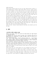 SONY기업소개 레포트-17페이지
