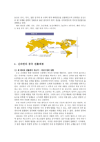 신라면 해외진출전략중국 국제경영전략-8페이지