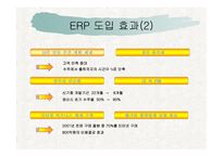 삼성 SDI의 ERP 성공사례-15페이지