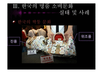 한국사회의 일그러진 명품 소비형태-14페이지