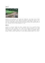 남한산성 성곽 레포트-8페이지