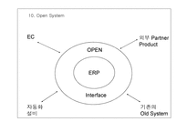 ERP개념 및 특징-20페이지