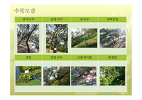 한국 도로공사 수목원 감상문3_-4페이지