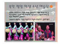 북한 공연예술과의 교류가 남한의 인식 변화에 미치는 영향-12페이지