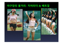 야구문화 소개 레포트-8페이지