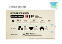 싱가포르의 의료관광을 통한 한국의료관광에 대한 시사점-4페이지